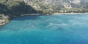 The Lesser Sunda Islands harbours incredible marine biodiversity.