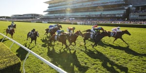 Peak hypocrisy:Why The Everest must be a group 1 race
