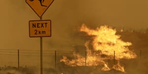 The black summer bushfires have given a horrifying new backdrop to the debate over emissions and what failing to cut them would mean.