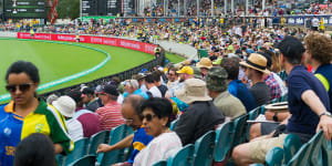 Test debut puts Manuka Oval into a 10-horse race