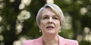 Tanya Plibersek is expected to say the government is prepared to regulate the plastics-recycling industry if needed.