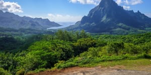 Tahiti:Swimming with whales,sharks and stingrays in French Polynesia