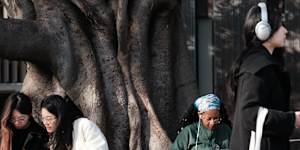 Analysts say that universities are poised to cut admissions due to the changes.
