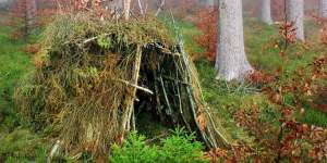 Home sweet home:Some members of the party learned to make a palace from the bracken.
