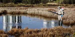 Mosquito treatment of wetlands along the Swan River.