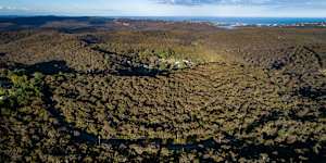 Bushland in Belrose and Oxford Falls would be rezoned for housing and other development under the Metropolitan Local Aboriginal Land Council plan.