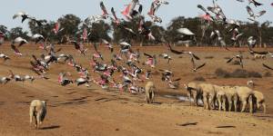 Share investors not heeding climate change yet:IMF