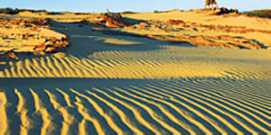 Among dunes and dingoes