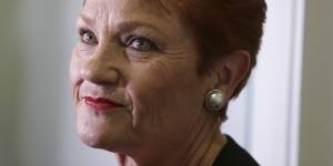 One Nation Leader Pauline Hanson asked the government to make her the co-chair of the parliamentary committee.