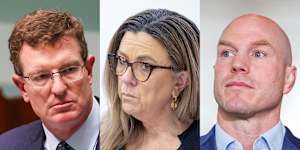 Andrew Gee,Tammy Tyrrell and David Pocock have thrown their support behind a royal commission into antisemitism