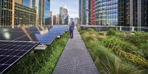 A Lendlease staff member visits the rooftop of Daramu where a scientific study found the rooftop garden increased the efficiency of the solar panels. 