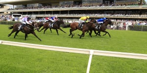 Warwick Farm could receive overdue upgrades once Rosehill is sold.