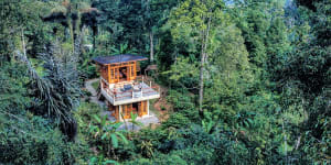 Rainforest retreat Senanga Cabin.