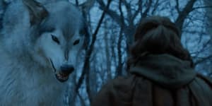 Australian DNA detectives reveal secrets of Game of Thrones wolves