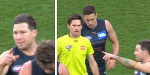 Toby Greene and the umpire “bump” during the elimination final.