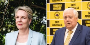 Federal Environment Minister Tanya Plibersek has rejected a coal mine proposed by businessman Clive Palmer.