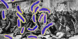 The cholera bacteria superimposed on riots over quarantine measures in Astrakhan,Russia in 1892.