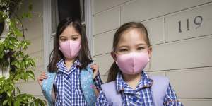 Some experts do not believe the marginal reward of students wearing masks in class is worth the cost.