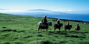 North Kohala:Horseback riding may not be the first thing that comes to mind when you think of Hawaii.