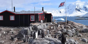 World’s most remote post office is hiring,penguin counting required