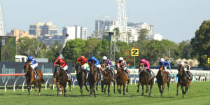 Rosehill will be sold for $5 billion. But what does the racing industry do now?