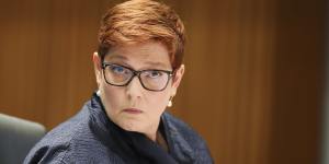Foreign Minister Marise Payne will be able to terminate deals between states and foreign governments.