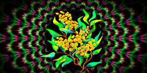 Studies into wattle.