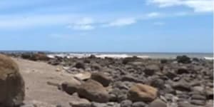 Landslide scatters bones across beach in New Zealand