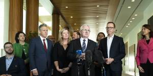 Labor MP Josh Wilson,Liberal MP Bridget Archer,independent MP Andrew Wilkie and Greens Senator David Shoebridge are calling for the UK government to urgently review the looming extradition of Julian Assange. 