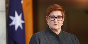 Foreign Minister Marise Payne will decide on a “case-by-case” basis whether controversial Confucius Institutes at 13 Australian universities will be allowed to continue their operations. 