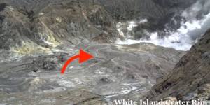 The arrow indicated people were on Whakaari or White Island,when the volcano erupted.