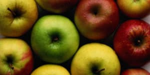 Two new apples were developed to withstand extreme weather. What will they be called?