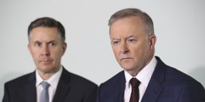 Shadow Minister for Health and Ageing Mark Butler and Opposition Leader Anthony Albanese.