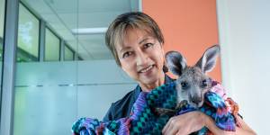Dr Elaine Ong with orphan joey Archie.