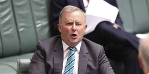 Anthony Albanese in Parliament on Thursday.