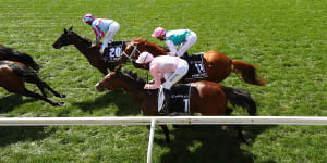 Jockey Hugh Bowman (in pink) on board Anthony Van Dyck in the Melbourne Cup.