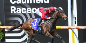 Slipper pressure could be golden key for King’s Gambit