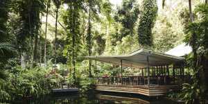 Dine over a jungle lagoon at Daintree Ecolodge.