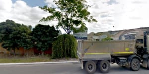 Bayswater council overruled in attempt to trade trees for cash