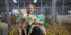 Jill Noble is showing her sheep from her Hallston Valley farm at the show.