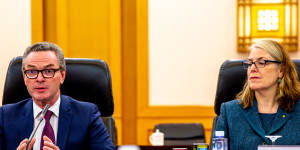 The new head of DFAT,Jan Adams,has been Australia’s ambassador to China and to Japan.