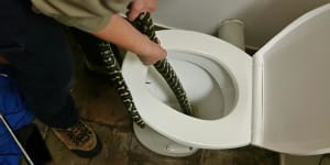 'Look before you leak':Snake in toilet bites Canberra woman's bottom