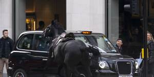 One of the horses collides with a taxi in London.