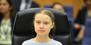 Greta Thunberg says she probably had coronavirus