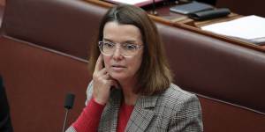 Social Services Minister Anne Ruston will attempt to revive the government's failed attempts to introduce drug testing trials for job seekers.