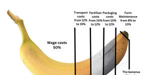 “The bananus 1 per cent to the farmer”:Bob Katter’s “banana” graphic attached to his submission. 
