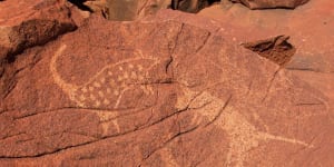 Rock carvings on the Burrup Peninsula,near Karratha,Western Australia.