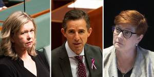 Leading Liberal Party moderates Bridget Archer,Simon Birmingham and Marise Payne are yet to form an effective alliance within the opposition party room.