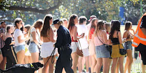 A file photo of police at the Field Day Festival in Sydney.
