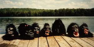 Gorilla masks have proved phonetically similar identity protectors.